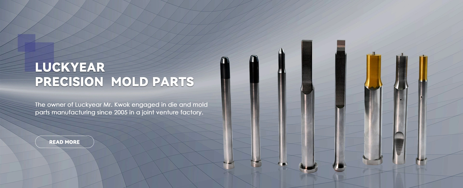 Προμηθευτής Precision Punches and Dies